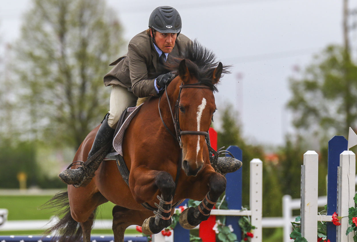 Horses 1